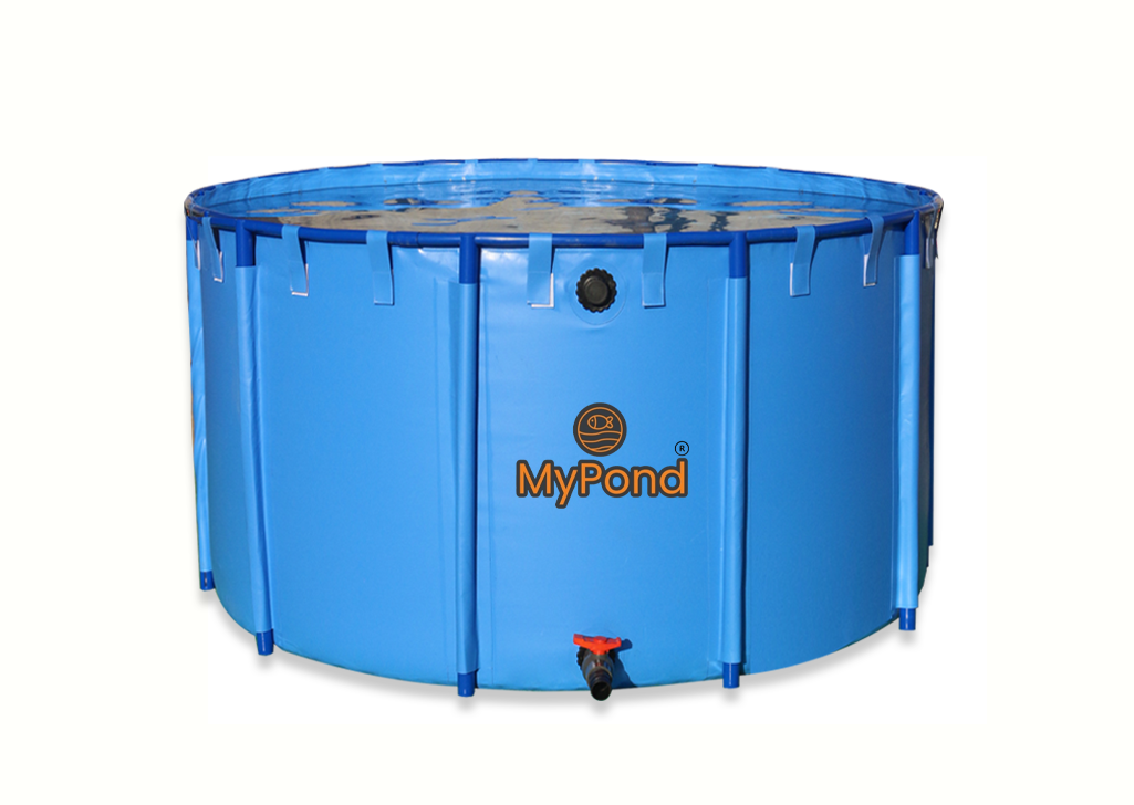 Koi Vat - Quarantine/Show Vat Various Sizes